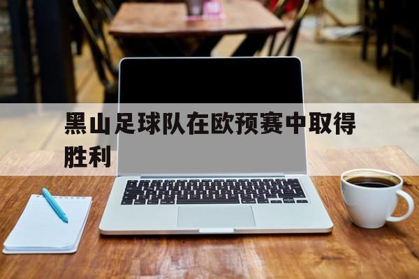 黑山足球队在欧预赛中取得胜利