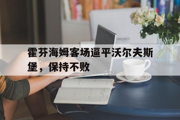 霍芬海姆客场逼平沃尔夫斯堡，保持不败的简单介绍